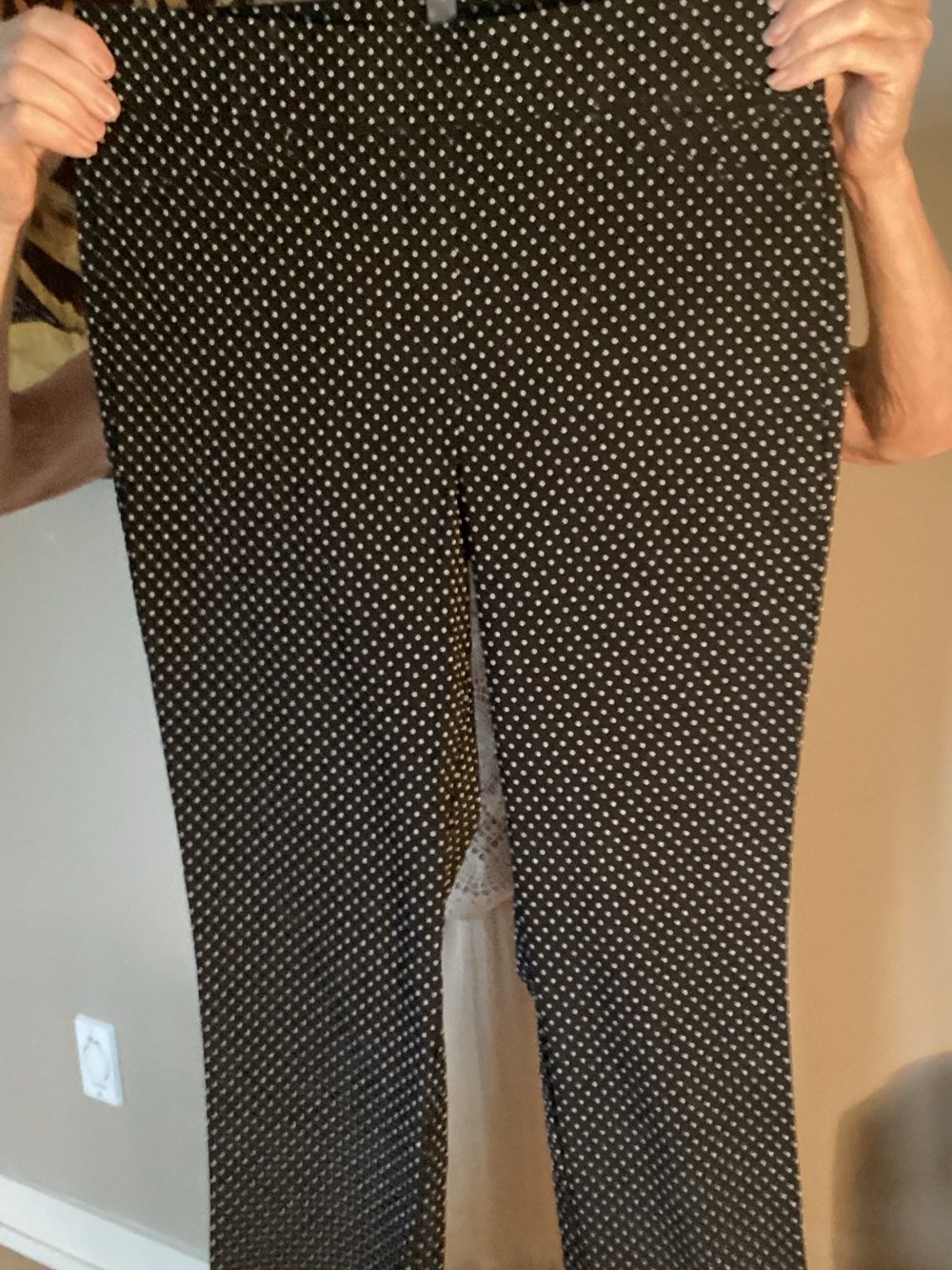 Womens Black Dot-Print capri by A nne Klein